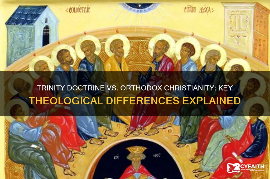 how does the doctrine of trinity differ from orthodox churches