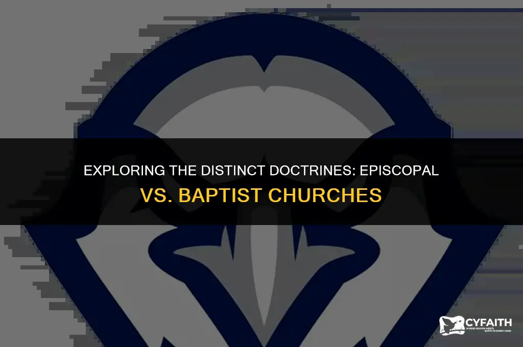 how does the episcopal church differ from the baptist church