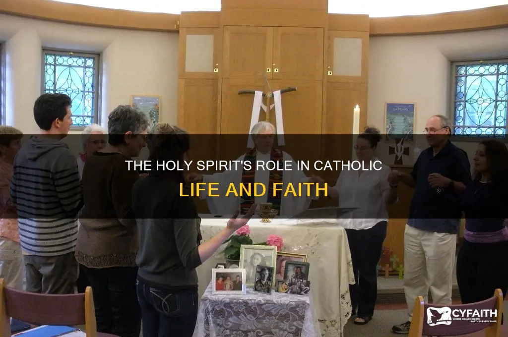 how does the holy spirit work in us catholic