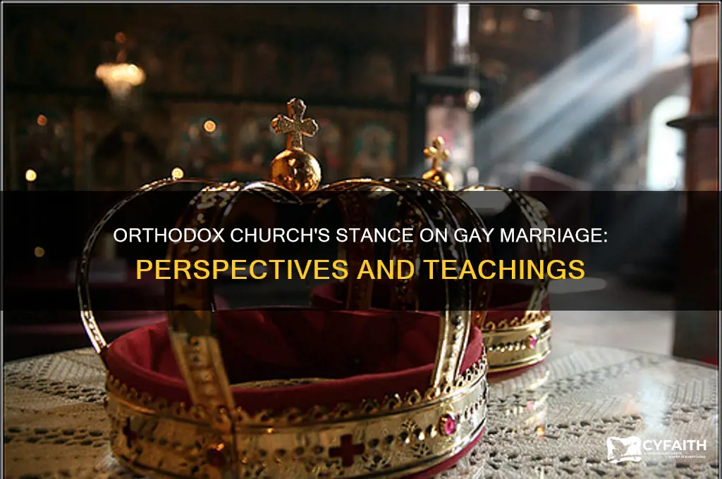 how does the orthodox church feel about gay marriage