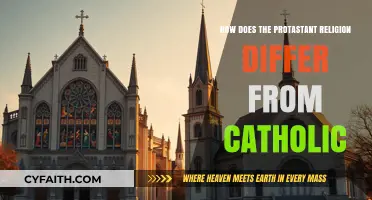 The Protestant Reformation: Key Differences with Catholicism
