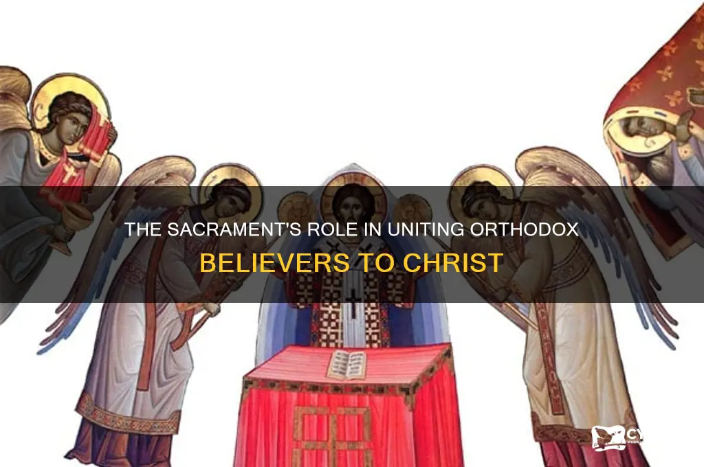 how does the sacrament unite us to christ orthodox