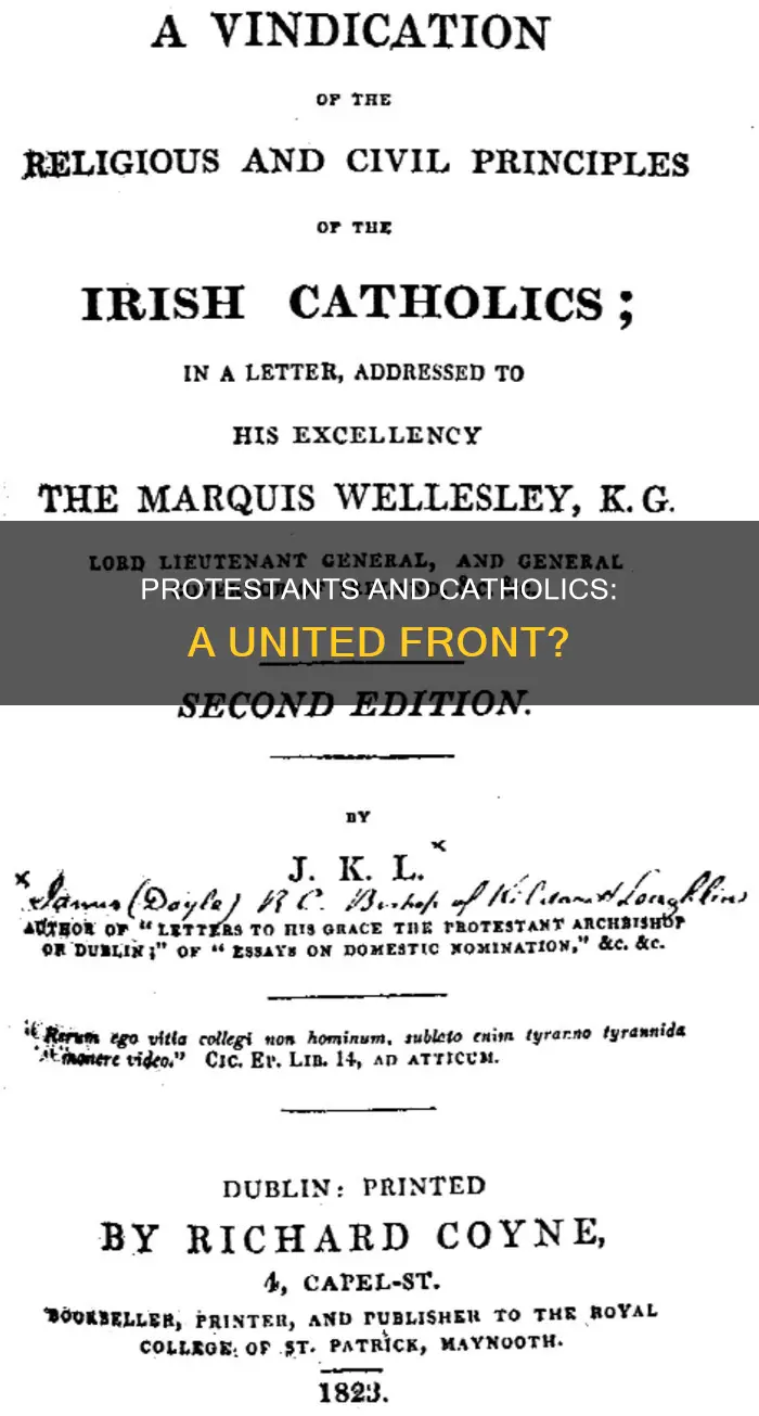 how doprotestants and catholic treat each other