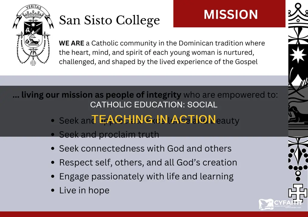 how education aligns with catholic social teaching