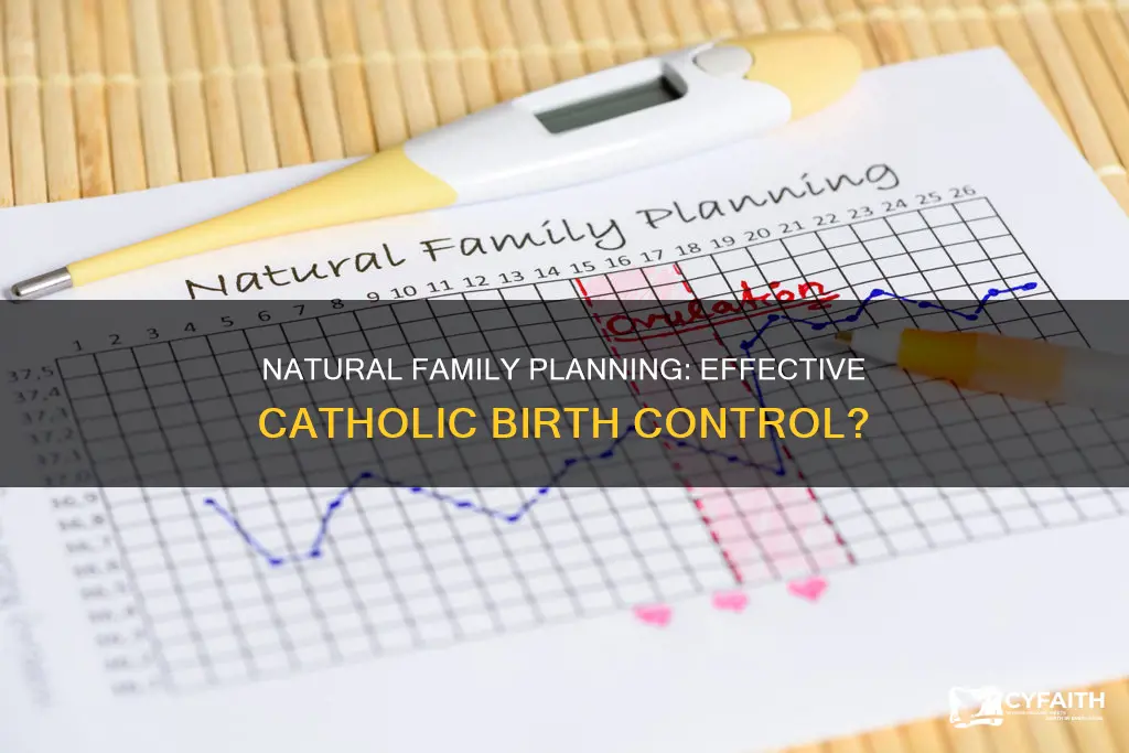 how effective is catholic natural family planning
