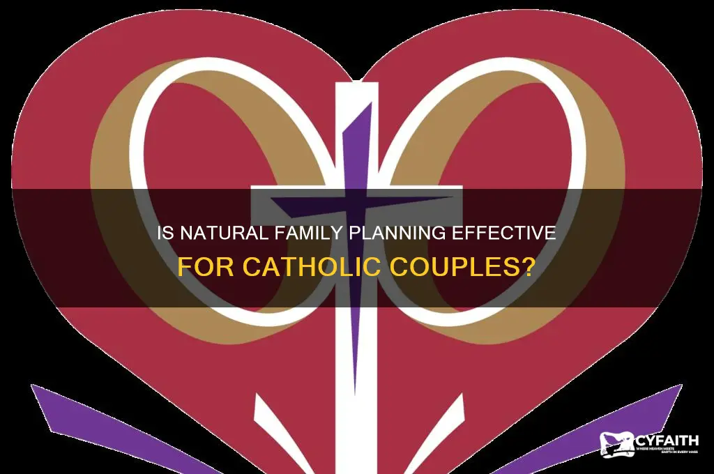 how effective is nfp catholic