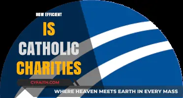 Evaluating Catholic Charities: Assessing Efficiency in Humanitarian Aid and Services