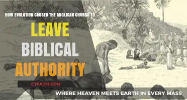 Evolution's Impact: Anglican Church's Shift from Biblical Authority Explored