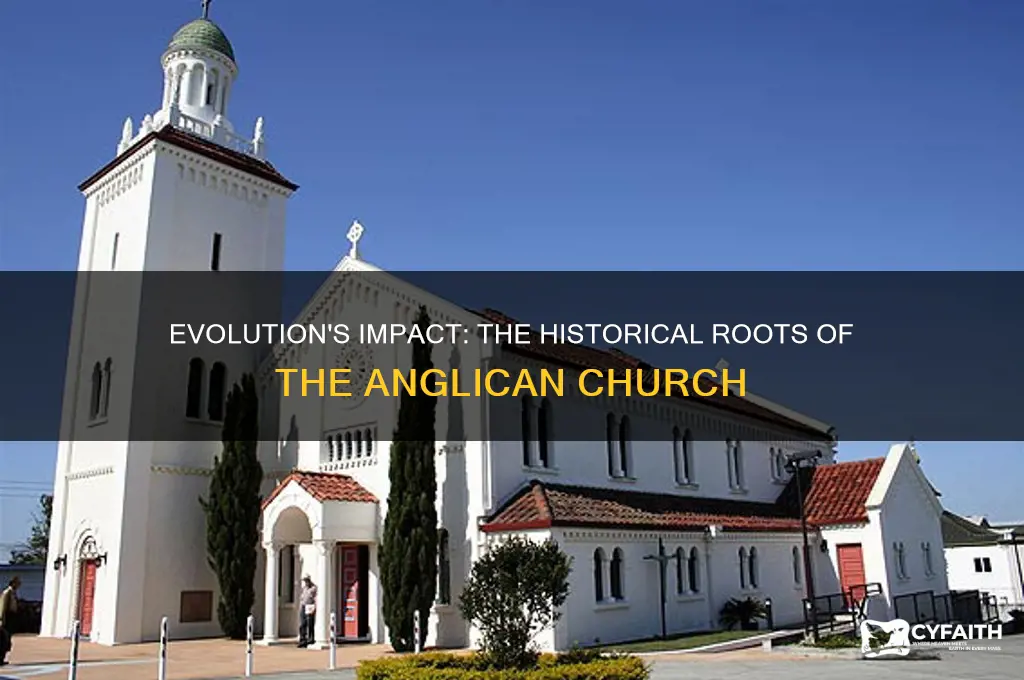 how evolution caused the anglican church