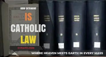Exploring the Depth and Reach of Catholic Canon Law