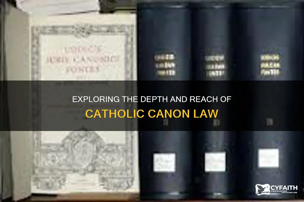 how extensive is catholic law