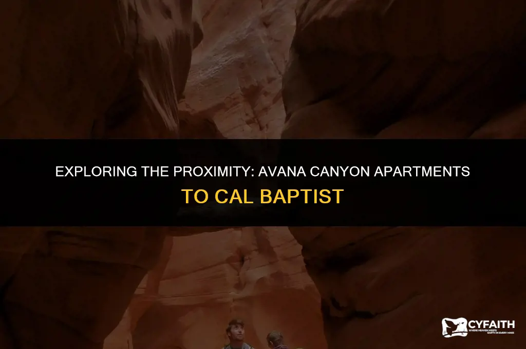 how far i avana canyon apartments from cal baptist