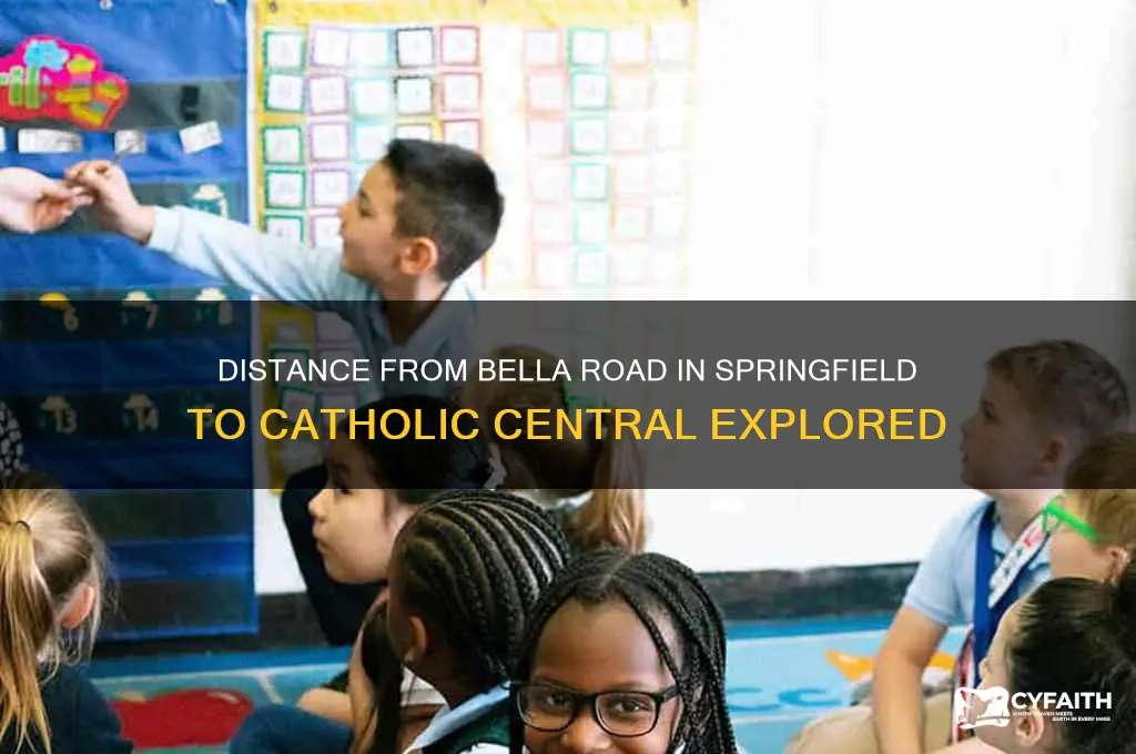 how far is bella road in springfield from catholic central