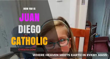 Juan Diego Catholic High School: A Deep Dive