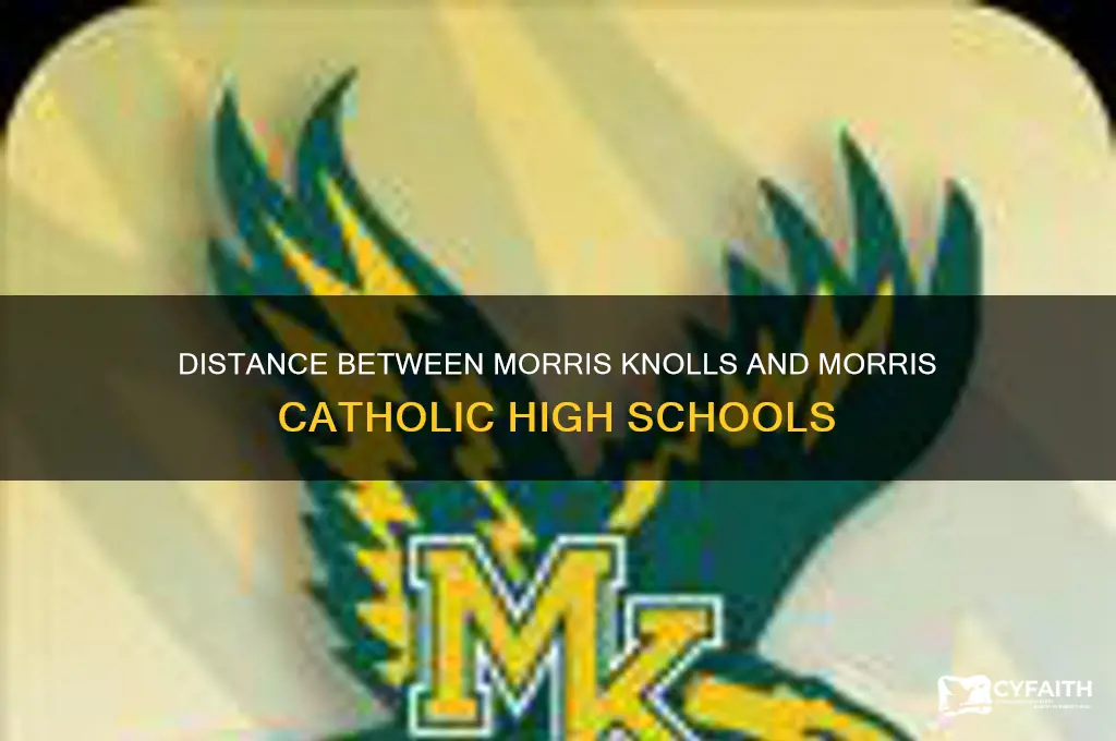 how far is morris knolls hs from morris catholic hs