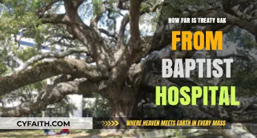 Exploring Jacksonville: Treaty Oak to Baptist Hospital Distance Guide