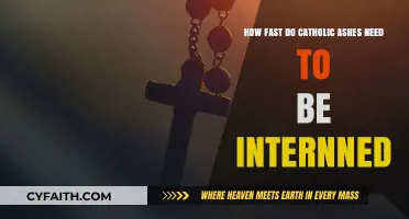 Catholic Ashes Interment: Timely Practices for Respectful Burial Traditions