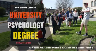 Psychology Degrees: Catholic University's Worth?