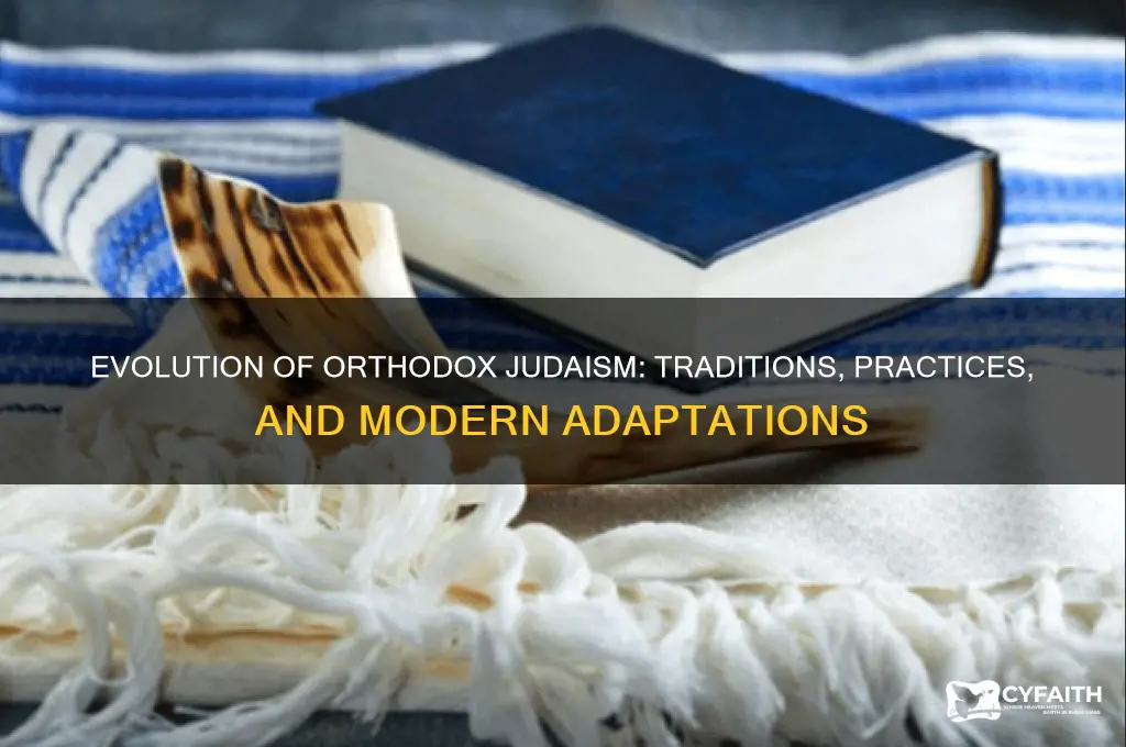 how has orthodox judaism changed
