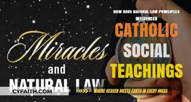 Natural Law's Impact on Catholic Social Teachings: A Historical Perspective
