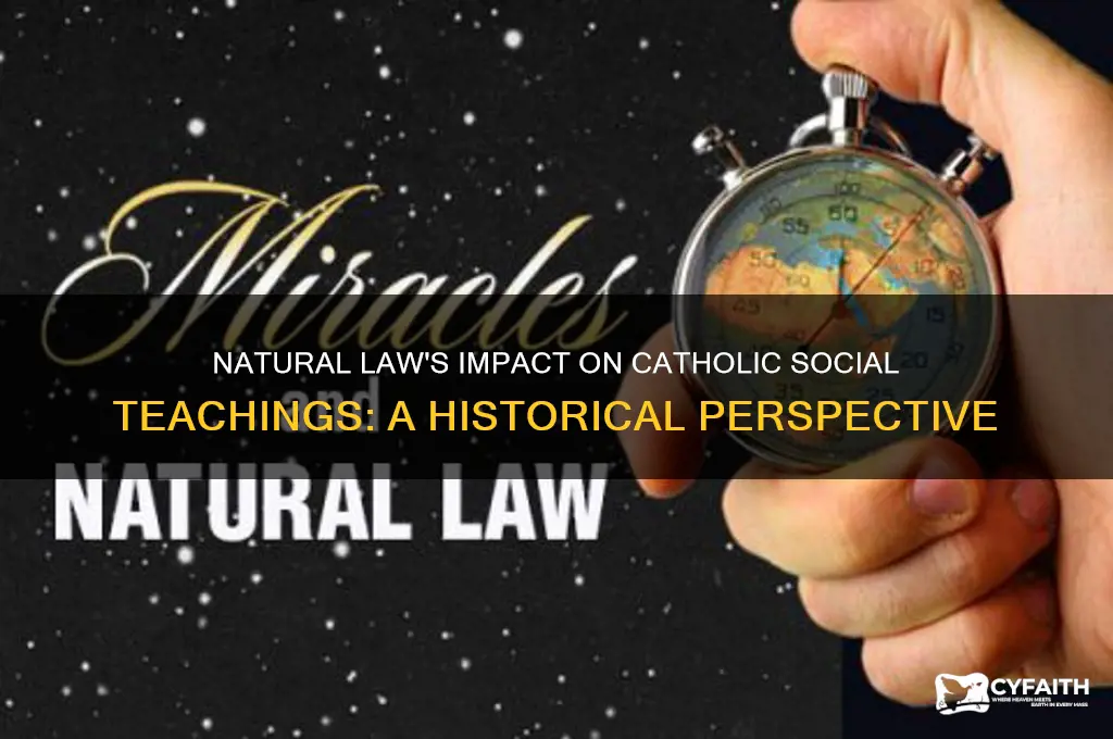 how have natural law principles influenced catholic social teachings
