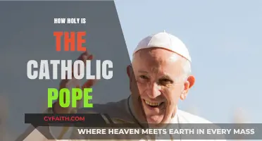The Pope: Holy Figure or Human Leader?