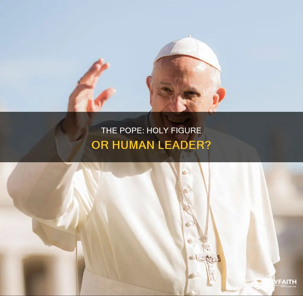 how holy is the catholic pope