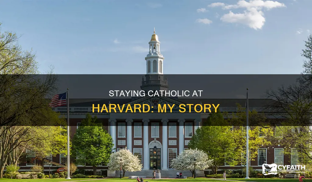 how i stayed catholic at harvard