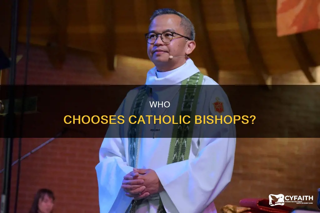 how is a catholic bishop chosen