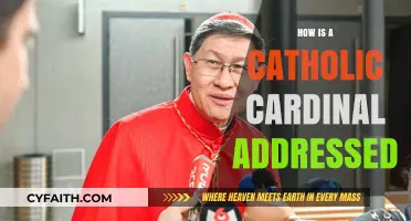 Addressing a Catholic Cardinal: The Correct Form