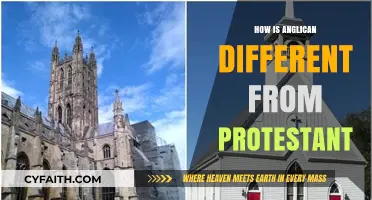 Anglican vs. Protestant: Key Theological and Historical Differences Explained