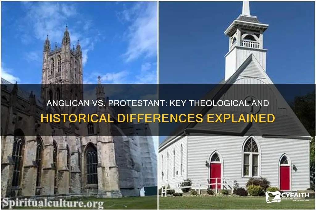 how is anglican different from protestant