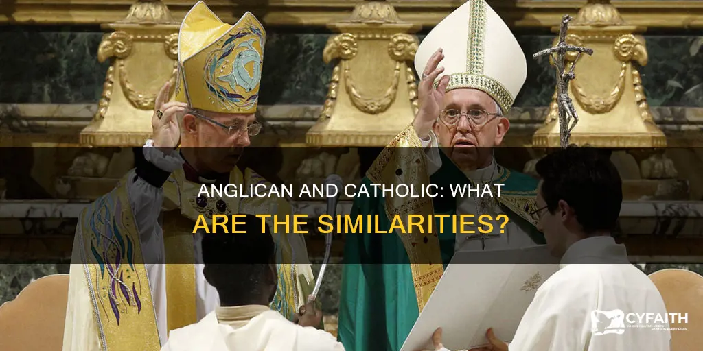 how is anglican similar to catholic