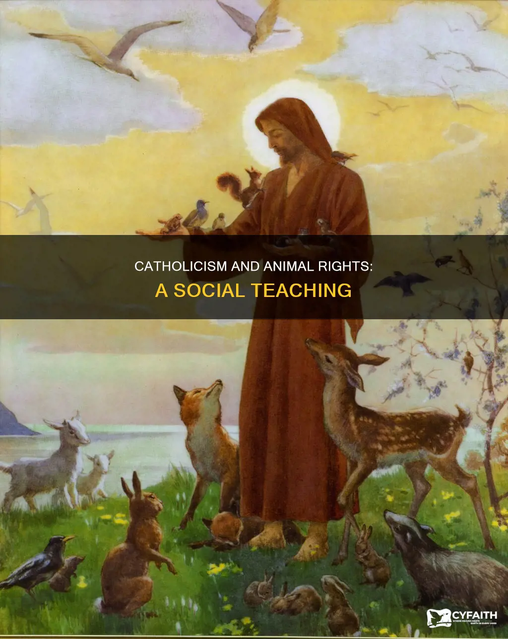 how is animal rights a catholic social teaching