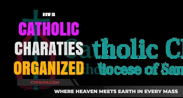 Understanding the Structure and Organization of Catholic Charities Worldwide