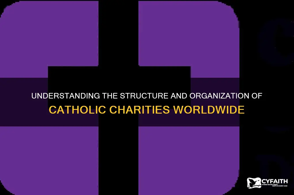 how is catholic charaties organized