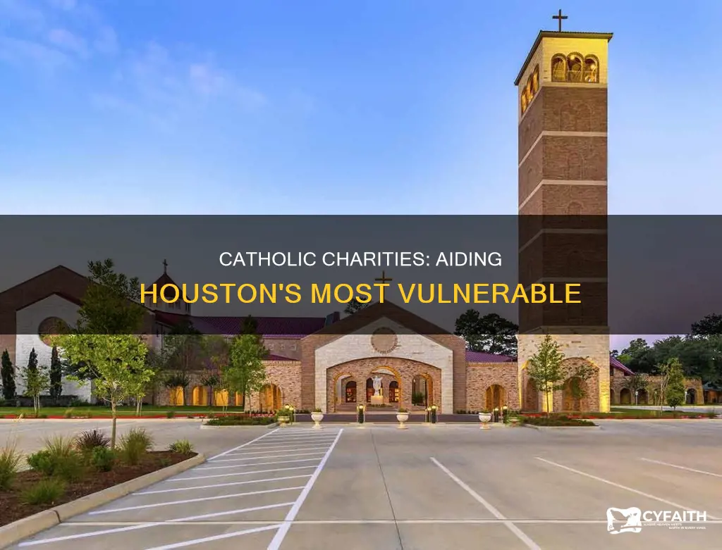how is catholic charities helping houston