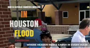 Catholic Charities: Houston Flood Aid and Support