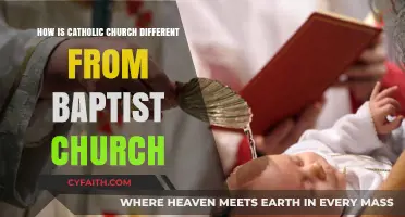 Exploring the Distinct Doctrines: Catholicism vs. Baptism