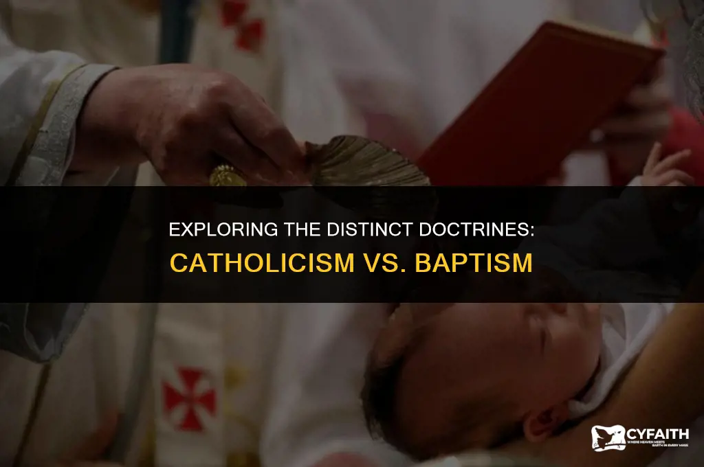 how is catholic church different from baptist church