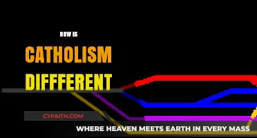 Exploring Catholicism's Unique Beliefs, Practices, and Traditions Compared to Others