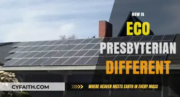 Eco Presbyterian: Unique Faith, Creation Care, and Sustainable Practices Explained