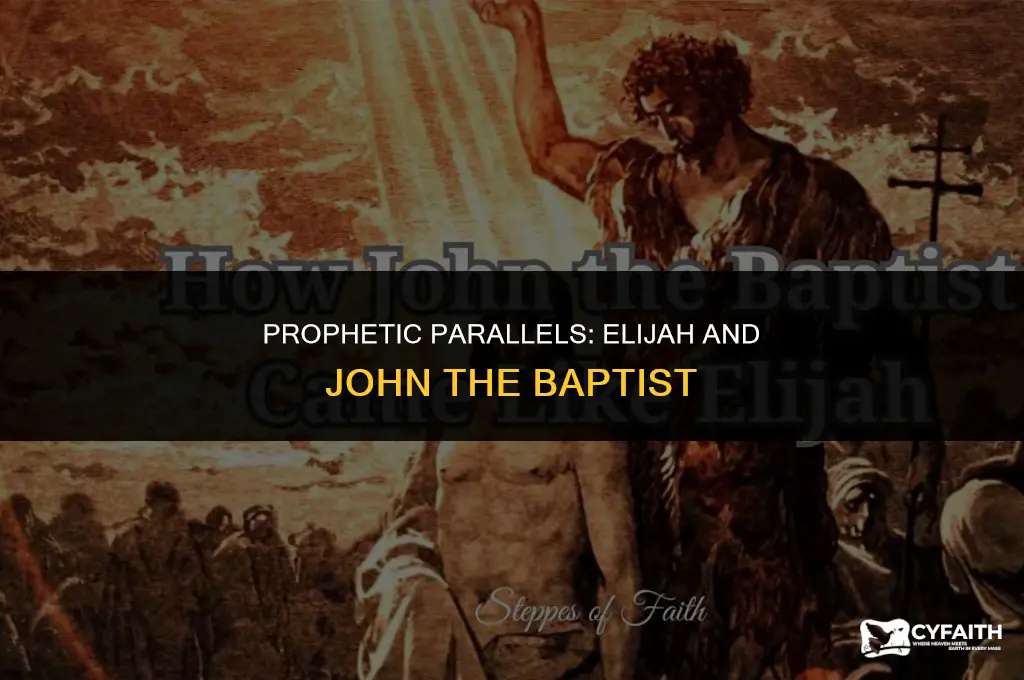 how is elijah a type of john the baptist