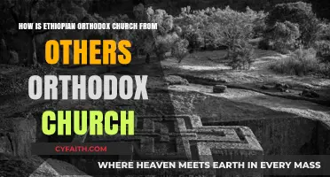 Distinctive Practices and Traditions of the Ethiopian Orthodox Church