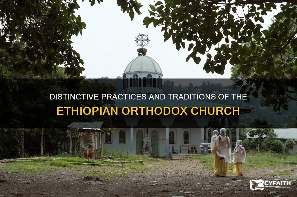 how is ethiopian orthodox church from others orthodox church