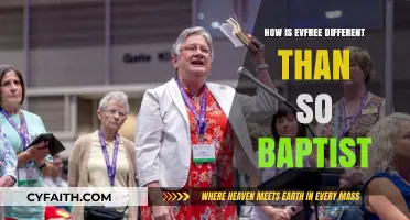 Exploring the Distinct Paths: EVFree vs. SO Baptist