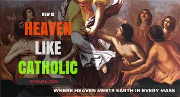 Exploring the Catholic Vision of Heaven: Beliefs, Traditions, and Eternal Joy
