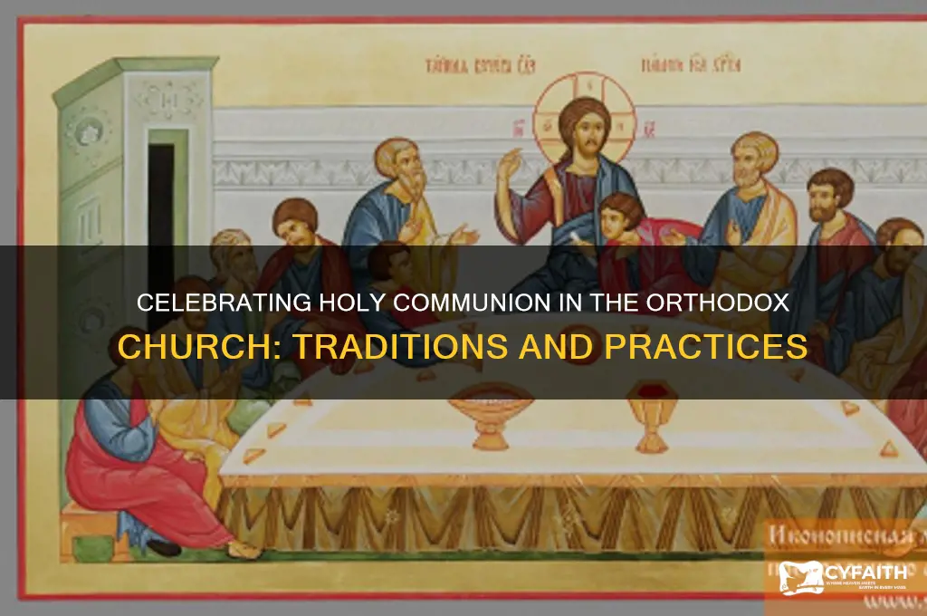how is holy communion celebrated in the orthodox church