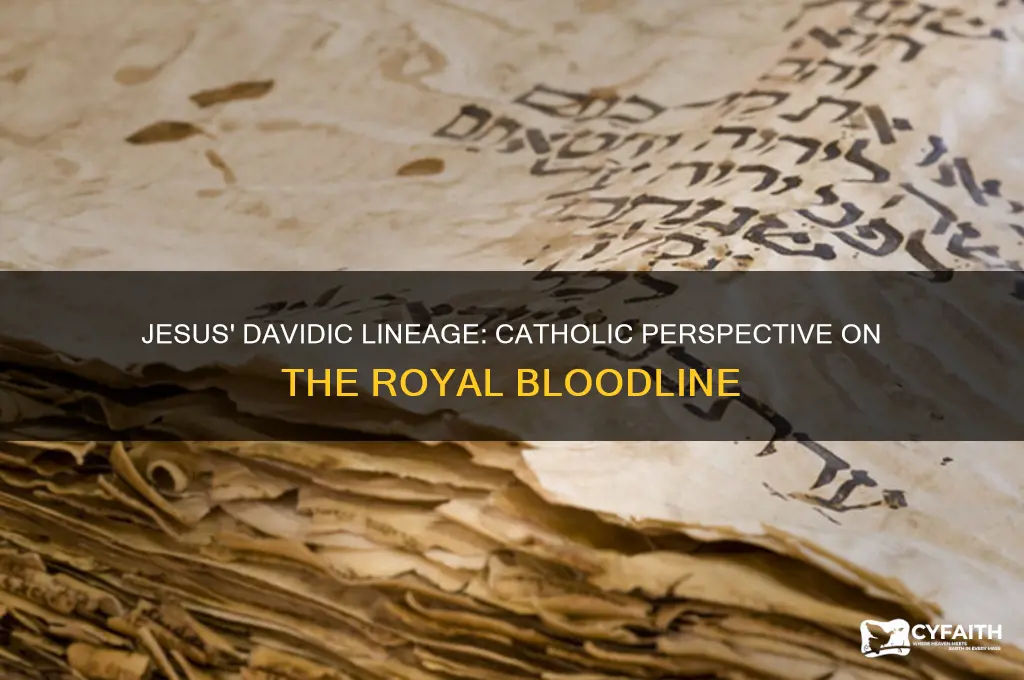 how is jesus in the line of david catholic view