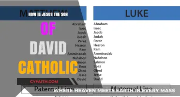 Jesus, Son of David: A Catholic Perspective